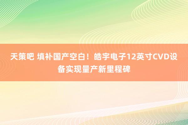 天策吧 填补国产空白！皓宇电子12英寸CVD设备实现量产新里程碑