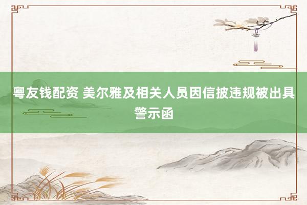 粤友钱配资 美尔雅及相关人员因信披违规被出具警示函