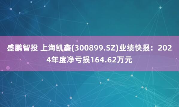 盛鹏智投 上海凯鑫(300899.SZ)业绩快报：2024年度净亏损164.62万元