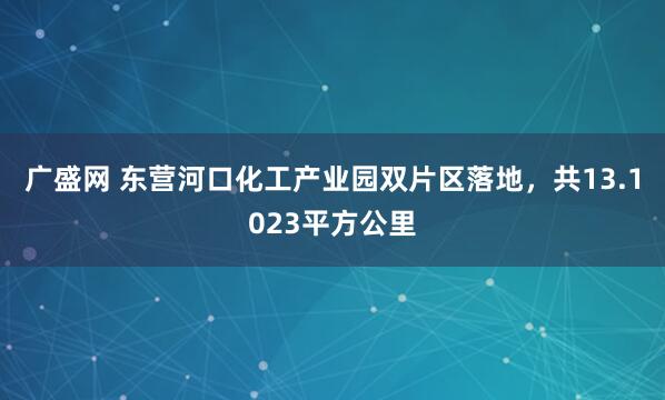 广盛网 东营河口化工产业园双片区落地，共13.1023平方公里