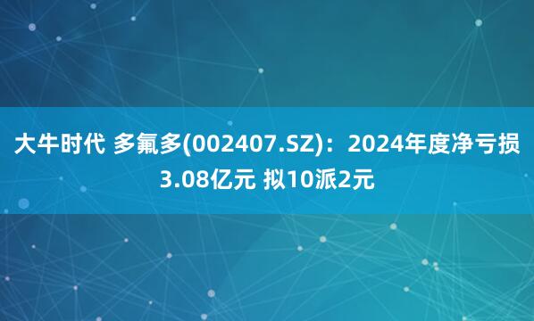 大牛时代 多氟多(002407.SZ)：2024年度净亏损3.08亿元 拟10派2元