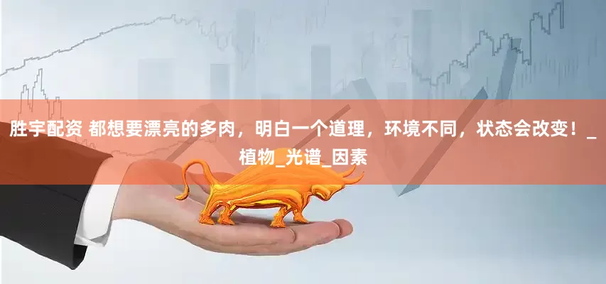 胜宇配资 都想要漂亮的多肉，明白一个道理，环境不同，状态会改变！_植物_光谱_因素