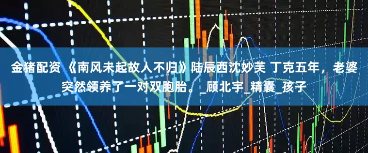 金猪配资 《南风未起故人不归》陆辰西沈妙芙 丁克五年，老婆突然领养了一对双胞胎。_顾北宇_精囊_孩子