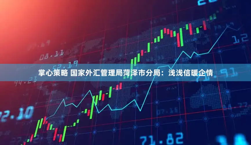掌心策略 国家外汇管理局菏泽市分局：浅浅信暖企情