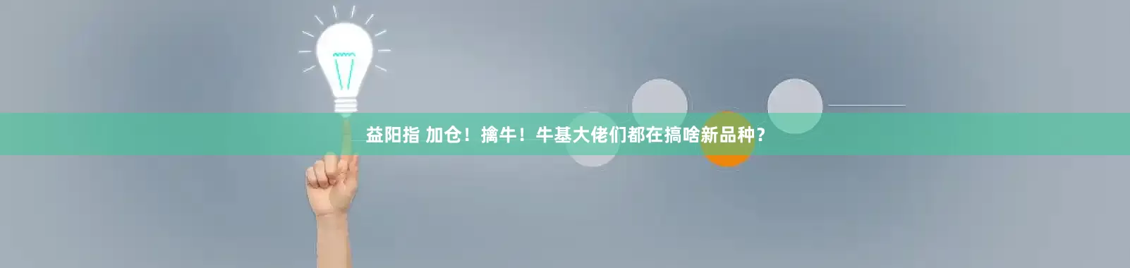 益阳指 加仓！擒牛！牛基大佬们都在搞啥新品种？