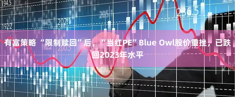 有富策略 “限制赎回”后，“当红PE”Blue Owl股价重挫，已跌回2023年水平